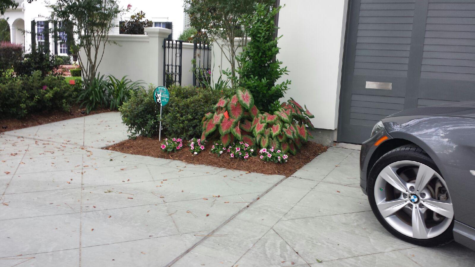 new orleans driveway off-street parking