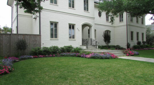 uptown new orleans front yard