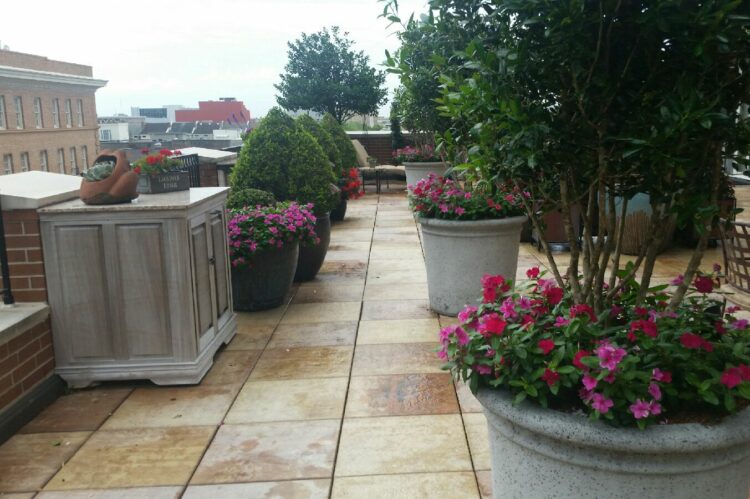 new orleans rooftop landscape