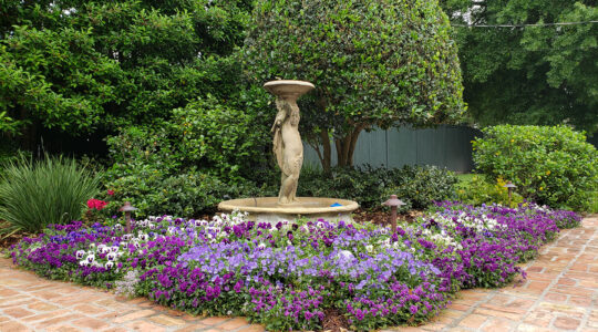 Higgins-Garden_with-fountain