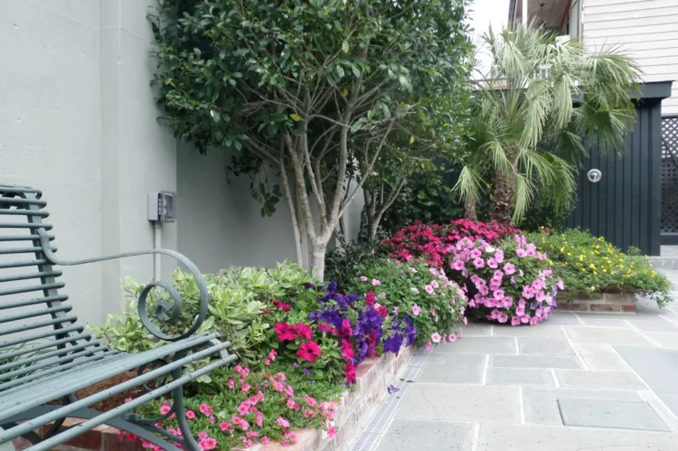 New Orleans French Quarter Courtyard