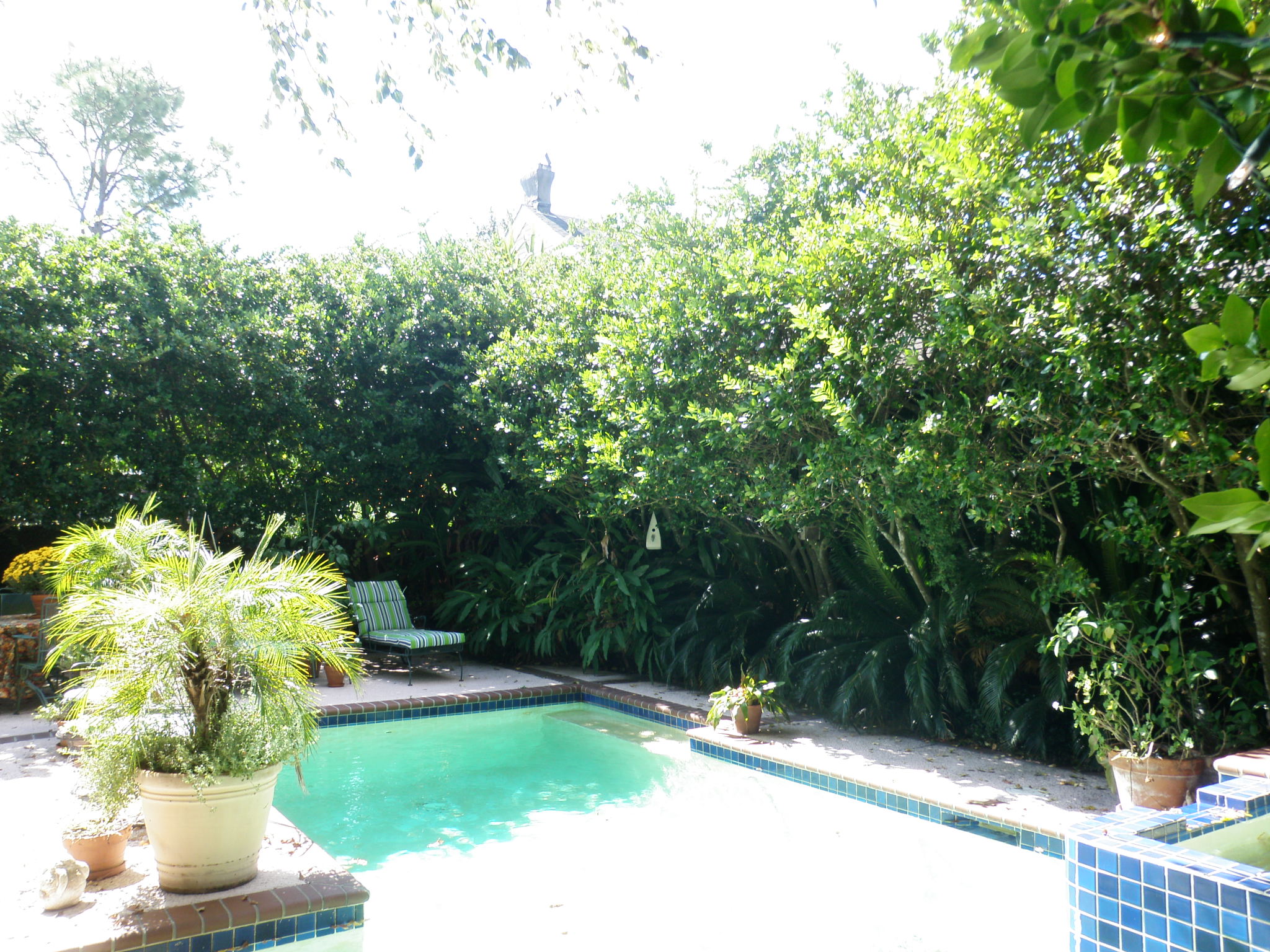 pool before renovations with Exterior Designs of New Orleans